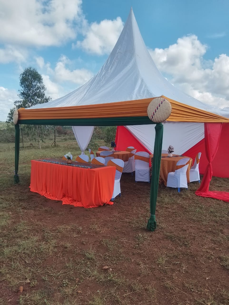 Birthday party celebration with decorated tables and happy guests